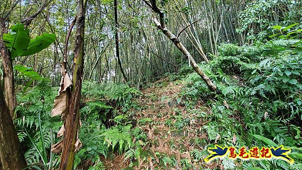 灰窯橋-善覺寺-畝畝山北稜線-畝畝山-石硿子古道-灰窯大小瀑布O形 (17).jpg