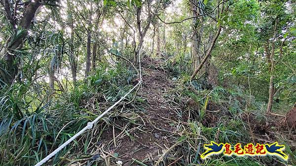 灰窯橋-善覺寺-畝畝山北稜線-畝畝山-石硿子古道-灰窯大小瀑布O形 (23).jpg