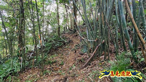 灰窯橋-善覺寺-畝畝山北稜線-畝畝山-石硿子古道-灰窯大小瀑布O形 (19).jpg