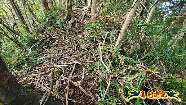 灰窯橋-善覺寺-畝畝山北稜線-畝畝山-石硿子古道-灰窯大小瀑布O形 (21).jpg