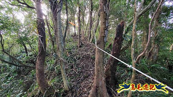 灰窯橋-善覺寺-畝畝山北稜線-畝畝山-石硿子古道-灰窯大小瀑布O形 (22).jpg