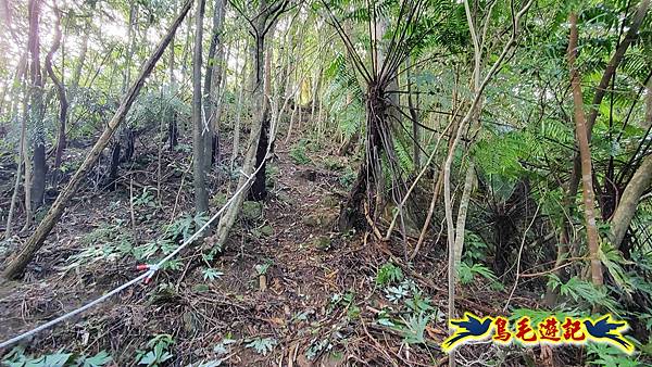 灰窯橋-善覺寺-畝畝山北稜線-畝畝山-石硿子古道-灰窯大小瀑布O形 (20).jpg