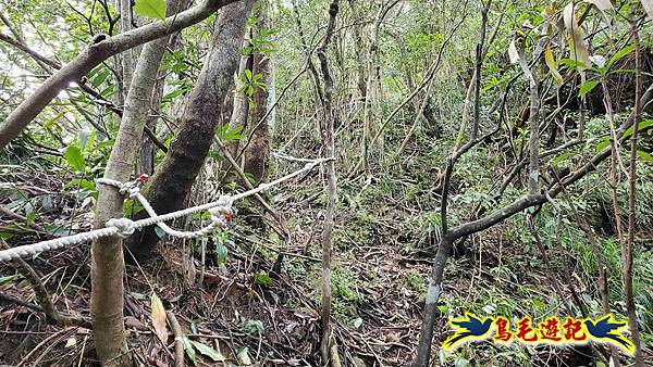灰窯橋-善覺寺-畝畝山北稜線-畝畝山-石硿子古道-灰窯大小瀑布O形 (27).jpg