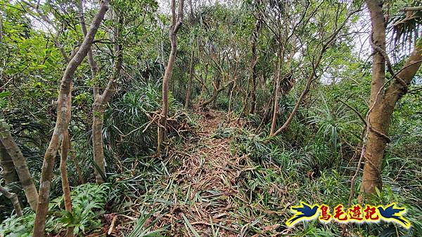 灰窯橋-善覺寺-畝畝山北稜線-畝畝山-石硿子古道-灰窯大小瀑布O形 (29).jpg