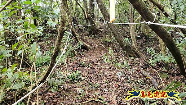 灰窯橋-善覺寺-畝畝山北稜線-畝畝山-石硿子古道-灰窯大小瀑布O形 (31).jpg