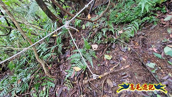 灰窯橋-善覺寺-畝畝山北稜線-畝畝山-石硿子古道-灰窯大小瀑布O形 (30).jpg