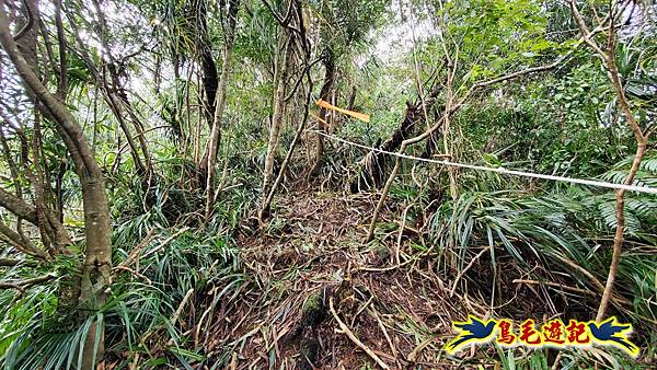 灰窯橋-善覺寺-畝畝山北稜線-畝畝山-石硿子古道-灰窯大小瀑布O形 (32).jpg