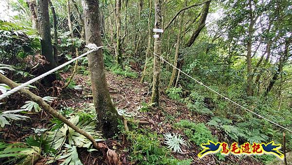 灰窯橋-善覺寺-畝畝山北稜線-畝畝山-石硿子古道-灰窯大小瀑布O形 (40).jpg