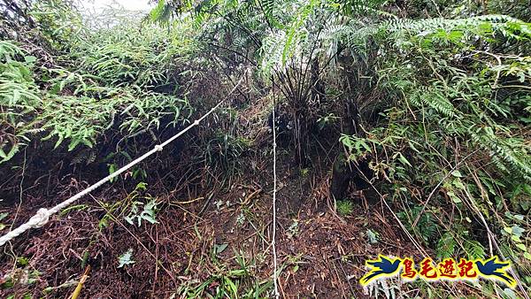 灰窯橋-善覺寺-畝畝山北稜線-畝畝山-石硿子古道-灰窯大小瀑布O形 (39).jpg