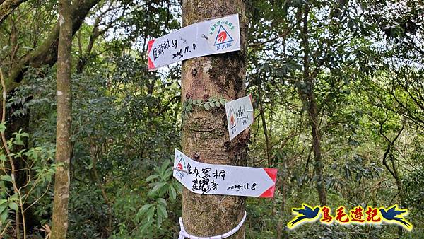 灰窯橋-善覺寺-畝畝山北稜線-畝畝山-石硿子古道-灰窯大小瀑布O形 (41).jpg