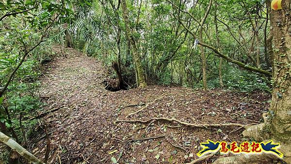 灰窯橋-善覺寺-畝畝山北稜線-畝畝山-石硿子古道-灰窯大小瀑布O形 (46).jpg