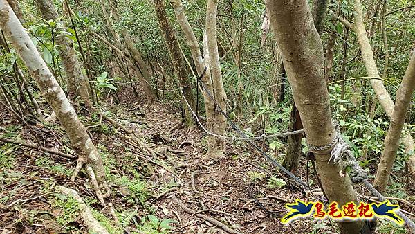 灰窯橋-善覺寺-畝畝山北稜線-畝畝山-石硿子古道-灰窯大小瀑布O形 (45).jpg