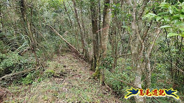 灰窯橋-善覺寺-畝畝山北稜線-畝畝山-石硿子古道-灰窯大小瀑布O形 (44).jpg