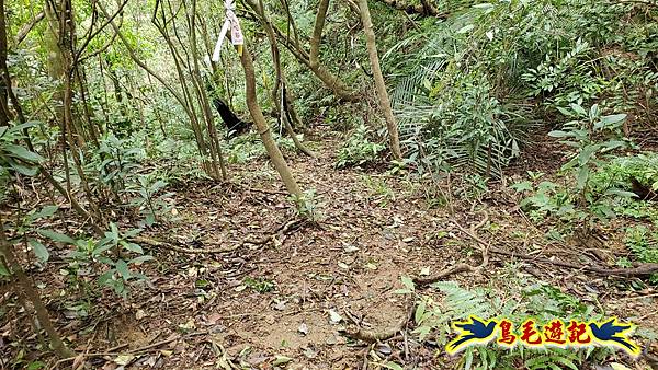 灰窯橋-善覺寺-畝畝山北稜線-畝畝山-石硿子古道-灰窯大小瀑布O形 (48).jpg