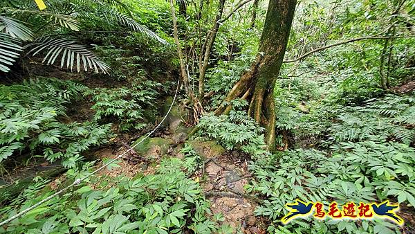 灰窯橋-善覺寺-畝畝山北稜線-畝畝山-石硿子古道-灰窯大小瀑布O形 (49).jpg