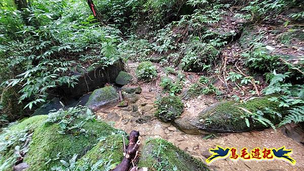 灰窯橋-善覺寺-畝畝山北稜線-畝畝山-石硿子古道-灰窯大小瀑布O形 (50).jpg