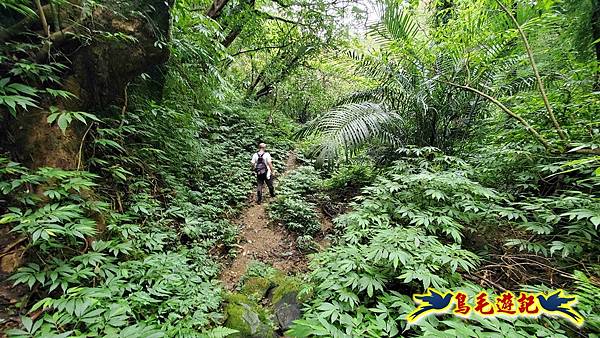 灰窯橋-善覺寺-畝畝山北稜線-畝畝山-石硿子古道-灰窯大小瀑布O形 (51).jpg