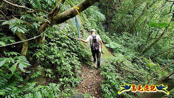 灰窯橋-善覺寺-畝畝山北稜線-畝畝山-石硿子古道-灰窯大小瀑布O形 (54).jpg