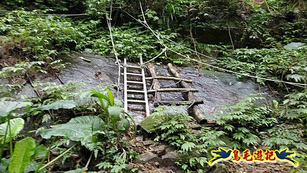 灰窯橋-善覺寺-畝畝山北稜線-畝畝山-石硿子古道-灰窯大小瀑布O形 (56).jpg