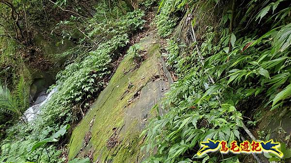 灰窯橋-善覺寺-畝畝山北稜線-畝畝山-石硿子古道-灰窯大小瀑布O形 (55).jpg