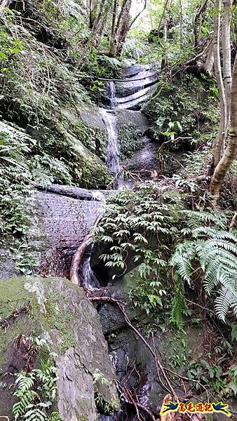 灰窯橋-善覺寺-畝畝山北稜線-畝畝山-石硿子古道-灰窯大小瀑布O形 (57).jpg