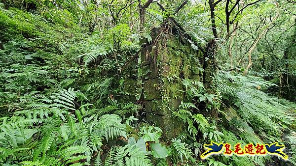 灰窯橋-善覺寺-畝畝山北稜線-畝畝山-石硿子古道-灰窯大小瀑布O形 (62).jpg