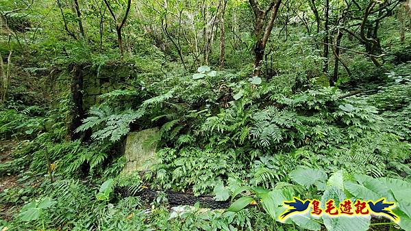 灰窯橋-善覺寺-畝畝山北稜線-畝畝山-石硿子古道-灰窯大小瀑布O形 (61).jpg