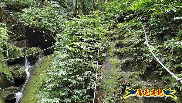 灰窯橋-善覺寺-畝畝山北稜線-畝畝山-石硿子古道-灰窯大小瀑布O形 (59).jpg