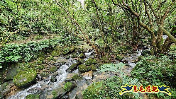 灰窯橋-善覺寺-畝畝山北稜線-畝畝山-石硿子古道-灰窯大小瀑布O形 (67).jpg