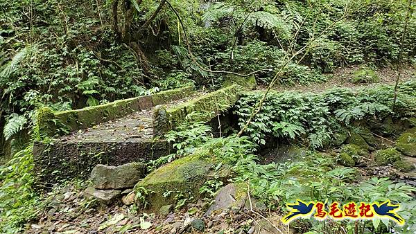 灰窯橋-善覺寺-畝畝山北稜線-畝畝山-石硿子古道-灰窯大小瀑布O形 (66).jpg