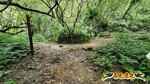 灰窯橋-善覺寺-畝畝山北稜線-畝畝山-石硿子古道-灰窯大小瀑布O形 (65).jpg