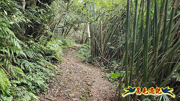 灰窯橋-善覺寺-畝畝山北稜線-畝畝山-石硿子古道-灰窯大小瀑布O形 (73).jpg