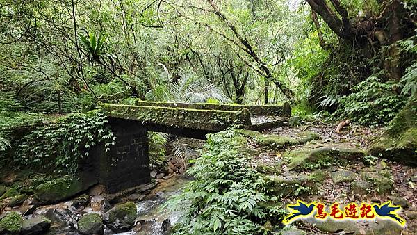 灰窯橋-善覺寺-畝畝山北稜線-畝畝山-石硿子古道-灰窯大小瀑布O形 (72).jpg
