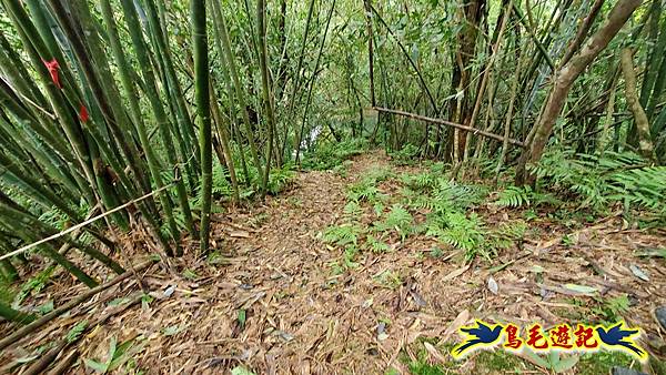 灰窯橋-善覺寺-畝畝山北稜線-畝畝山-石硿子古道-灰窯大小瀑布O形 (75).jpg