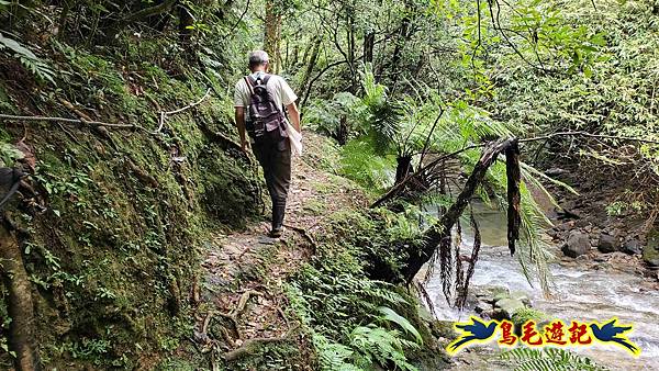 灰窯橋-善覺寺-畝畝山北稜線-畝畝山-石硿子古道-灰窯大小瀑布O形 (86).jpg