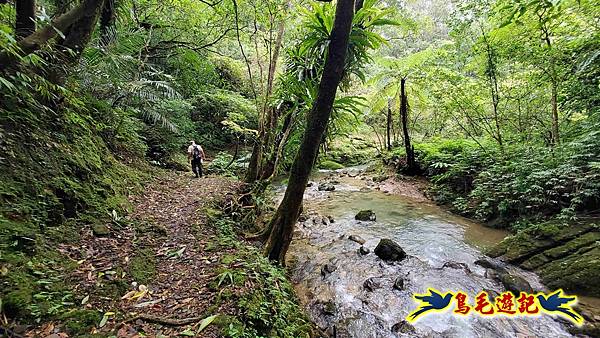 灰窯橋-善覺寺-畝畝山北稜線-畝畝山-石硿子古道-灰窯大小瀑布O形 (85).jpg