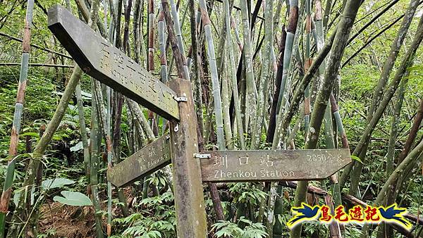 灰窯橋-善覺寺-畝畝山北稜線-畝畝山-石硿子古道-灰窯大小瀑布O形 (88).jpg