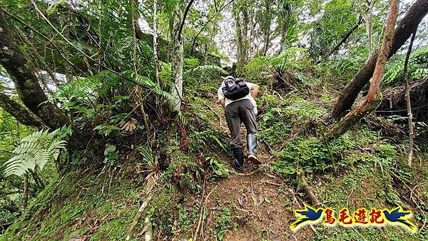 灰窯橋-善覺寺-畝畝山北稜線-畝畝山-石硿子古道-灰窯大小瀑布O形 (90).jpg