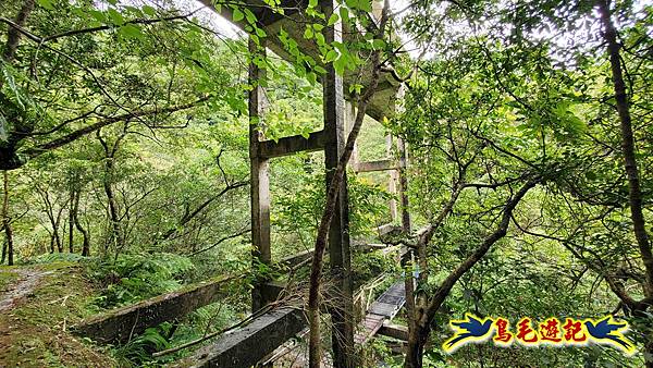 灰窯橋-善覺寺-畝畝山北稜線-畝畝山-石硿子古道-灰窯大小瀑布O形 (89).jpg