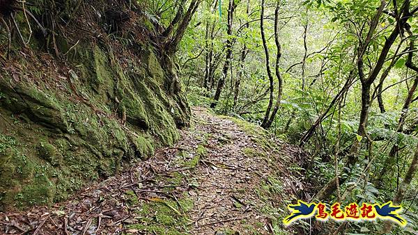 灰窯橋-善覺寺-畝畝山北稜線-畝畝山-石硿子古道-灰窯大小瀑布O形 (92).jpg
