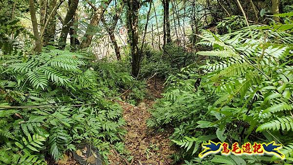 灰窯橋-善覺寺-畝畝山北稜線-畝畝山-石硿子古道-灰窯大小瀑布O形 (99).jpg