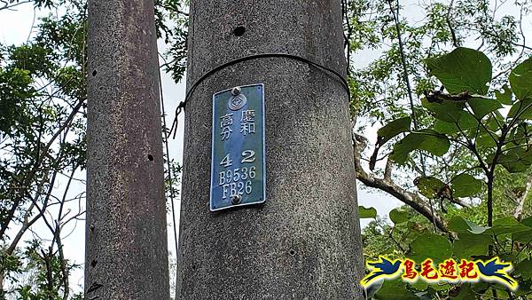 灰窯橋-善覺寺-畝畝山北稜線-畝畝山-石硿子古道-灰窯大小瀑布O形 (95).jpg