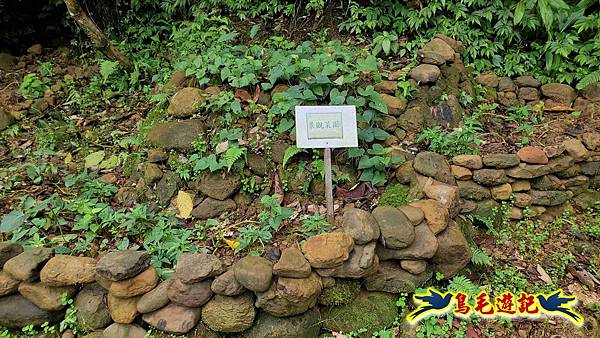 灰窯橋-善覺寺-畝畝山北稜線-畝畝山-石硿子古道-灰窯大小瀑布O形 (101).jpg