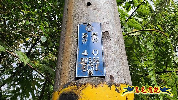 灰窯橋-善覺寺-畝畝山北稜線-畝畝山-石硿子古道-灰窯大小瀑布O形 (102).jpg