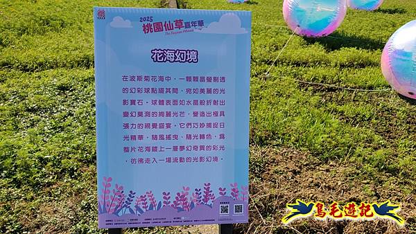 2025桃園仙草嘉年華 (1).jpg