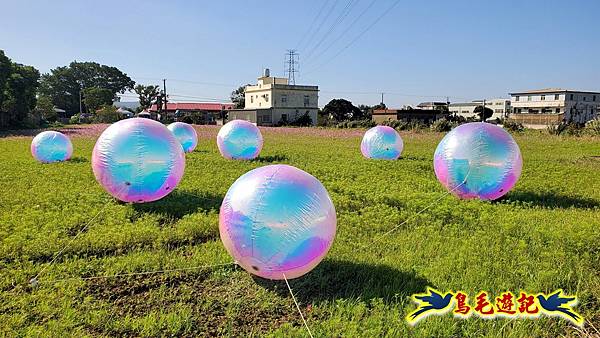 2025桃園仙草嘉年華 (2).jpg