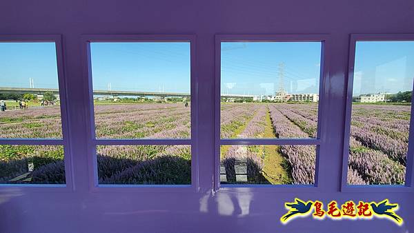 2025桃園仙草嘉年華 (14).jpg