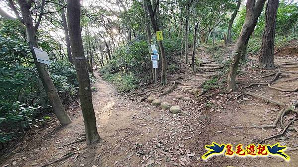 楊梅福人步道-莊迷糊-保甲古道-東森山林步道8形 (4).jpg 楊梅福人步道-莊迷糊-保甲古道-東森山林步道8形 (4).jpg