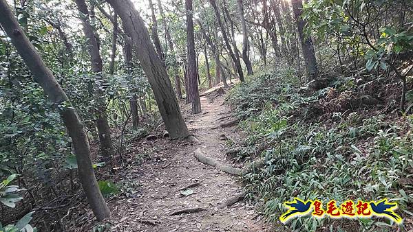 楊梅福人步道-莊迷糊-保甲古道-東森山林步道8形 (5).jpg