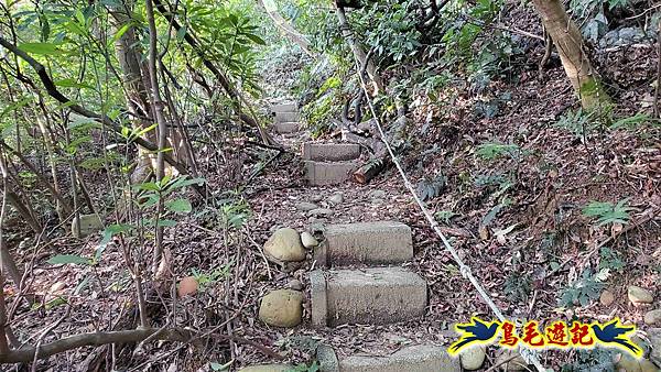 楊梅福人步道-莊迷糊-保甲古道-東森山林步道8形 (8).jpg 楊梅福人步道-莊迷糊-保甲古道-東森山林步道8形 (8).jpg